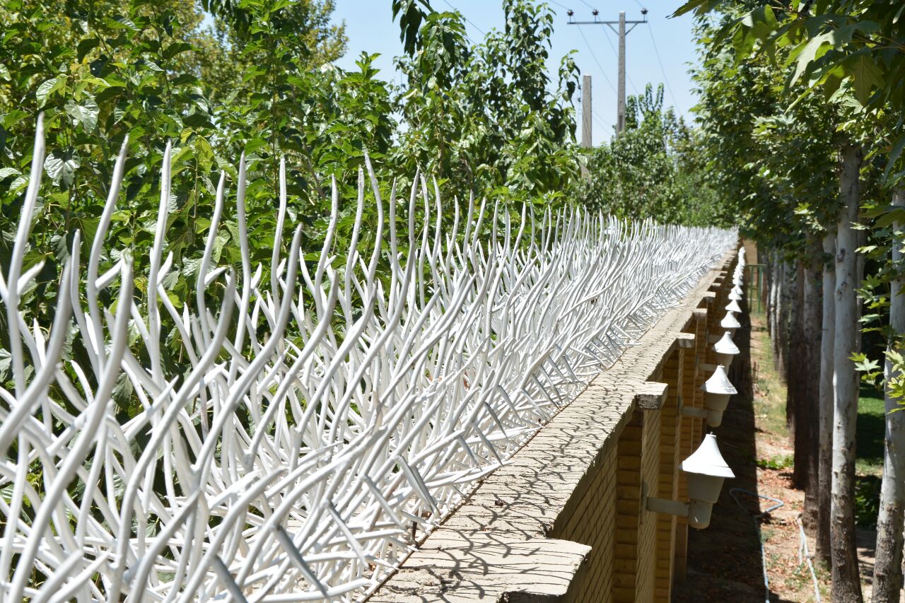 حفاظ بوته ای | نرده آهنی بوته ای خاری | قیمت خرید نرده حفاظ بوته ای